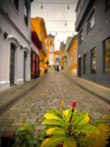 Villa Di Mare II-Piscina e churrasqueira