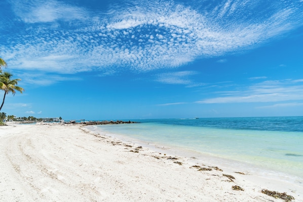 Une plage avec une eau d’un bleu limpide, du sable blanc et quelques palmiers.