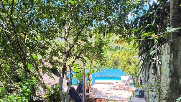 A backyard with a concrete path, a hammock, and a dog. - Chácara dos Cheiros: A cozy corner to relax. (Atibaia)