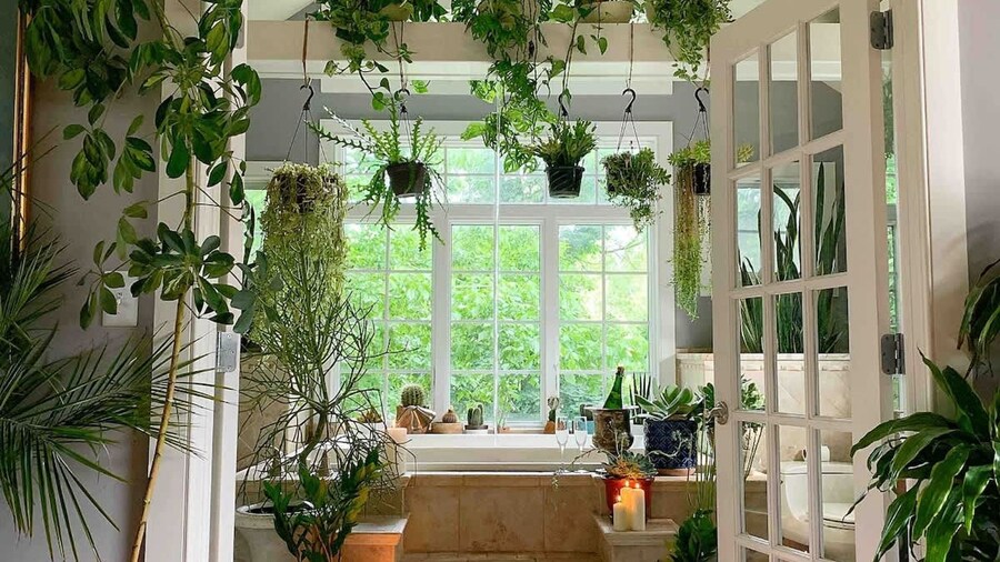 Unique Luxury Central Historic Landmark Home