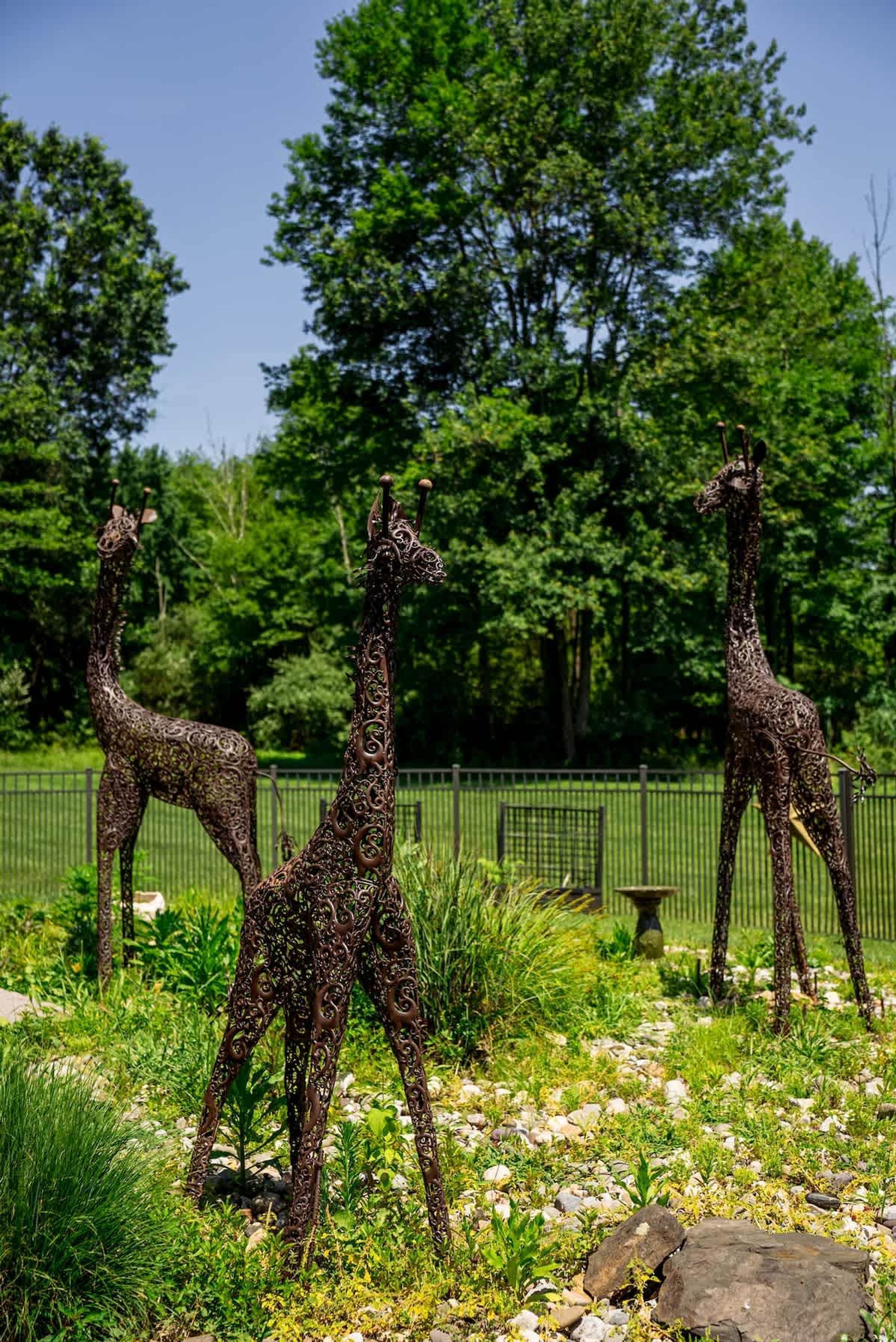 Three giraffe sculptures in a garden setting with trees and a fence in the background.