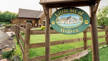 Suite | 4 habitaciones y internet