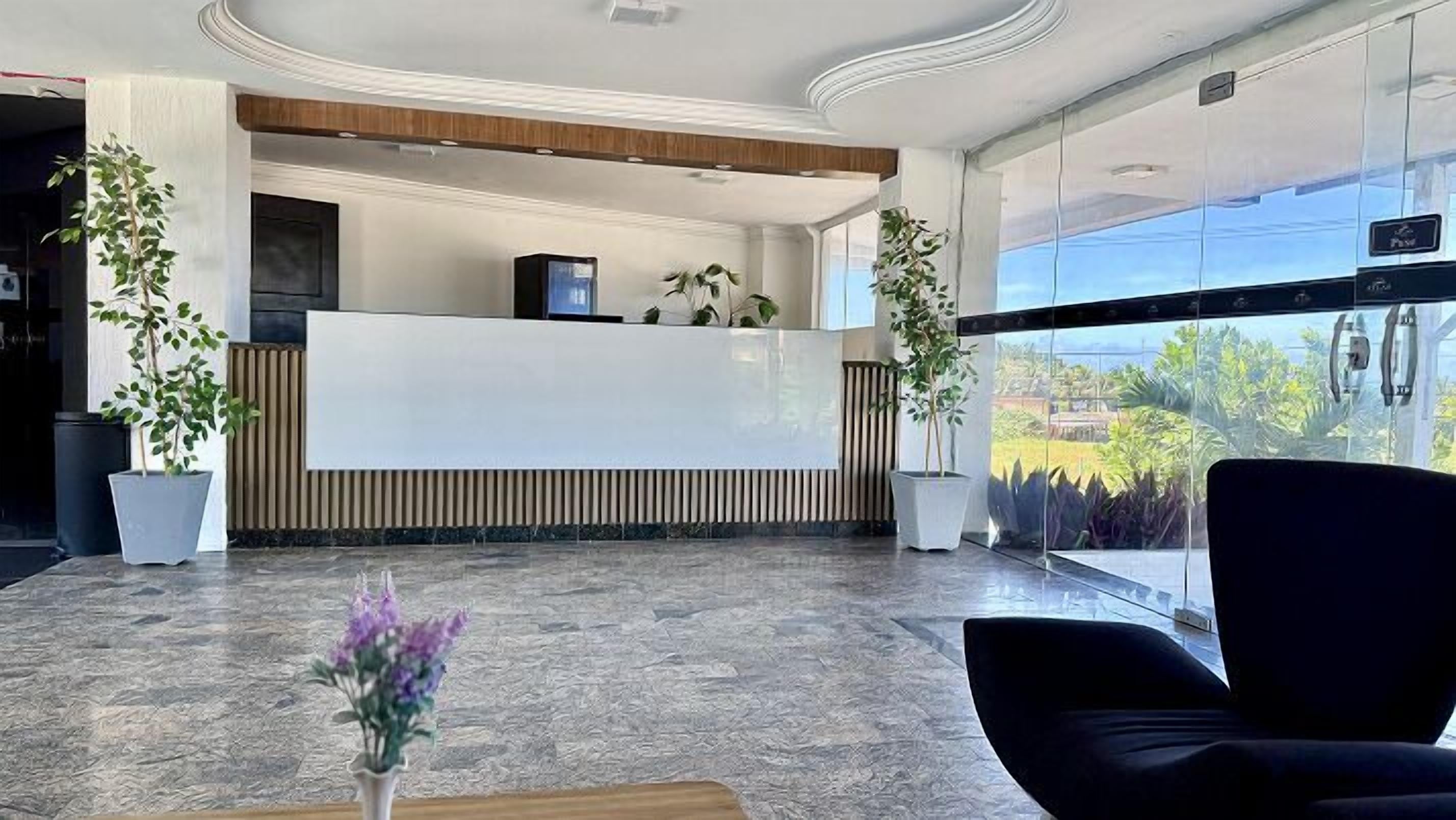 A reception area with a reception desk, potted plants, and a view through large windows.
