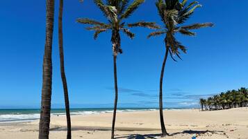 Ein Strand mit Palmen und blauem Himmel.