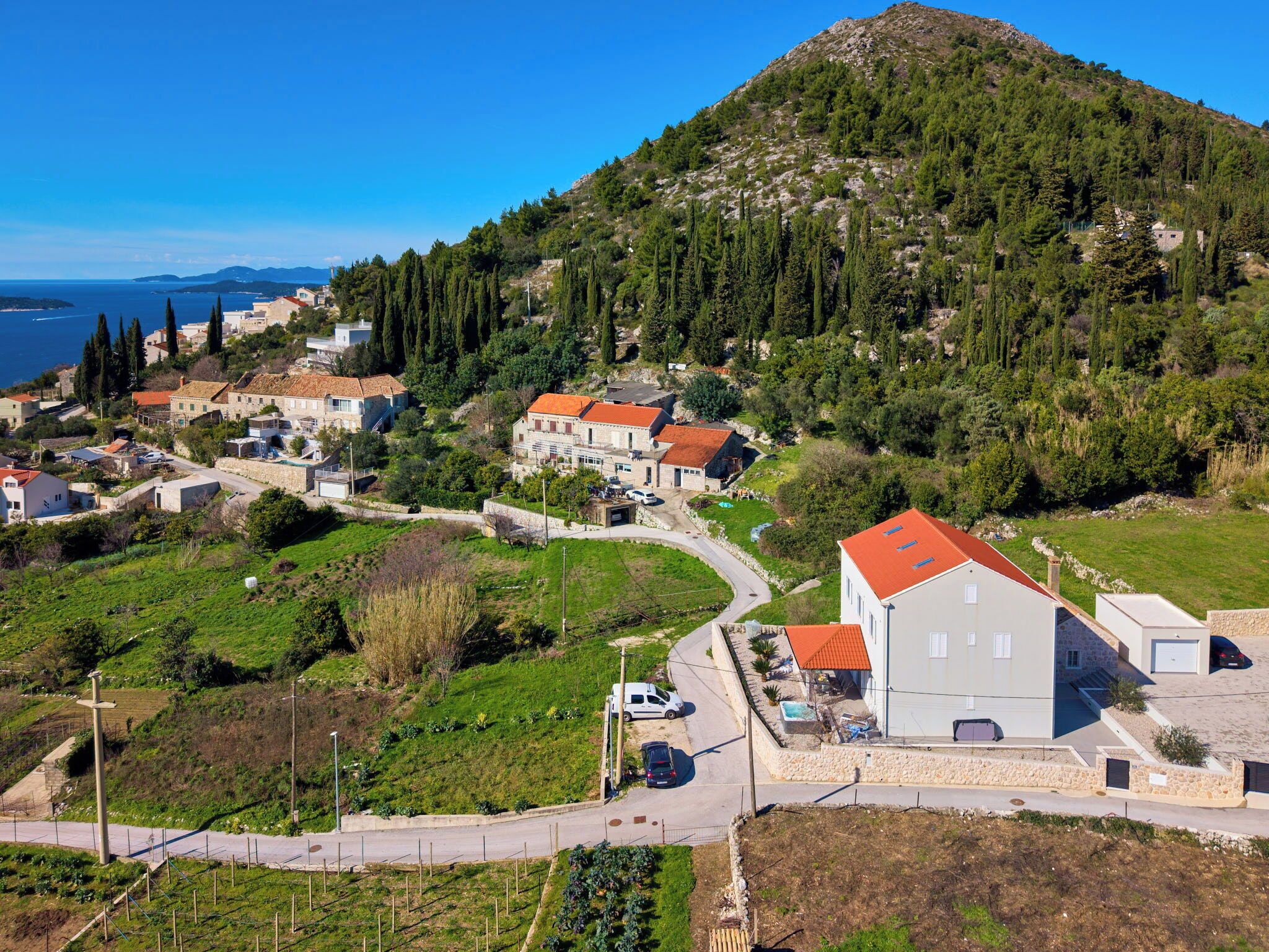 Avlu