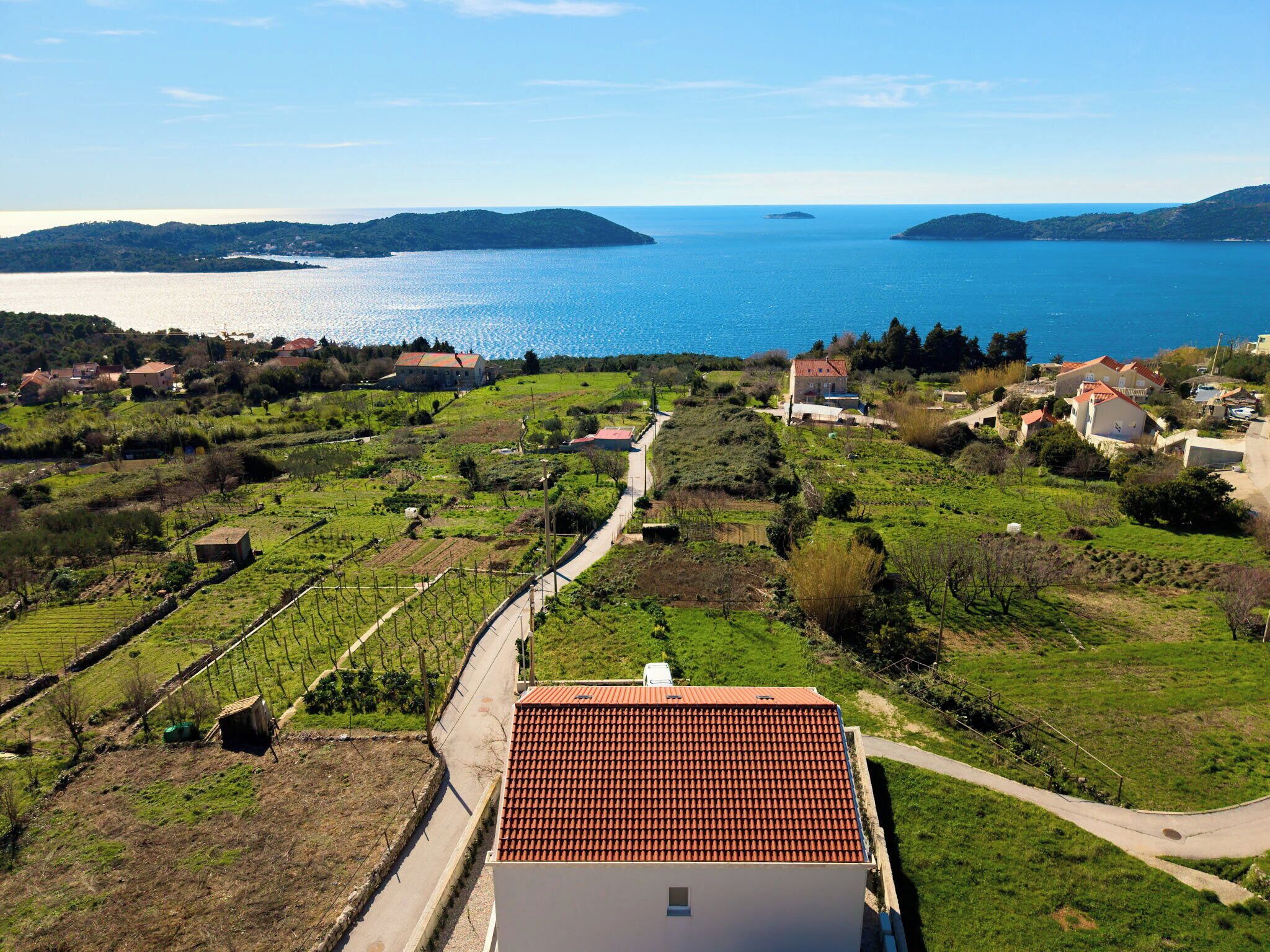 A coastal landscape with a vineyard, a red-roofed building, and a view of the sea.