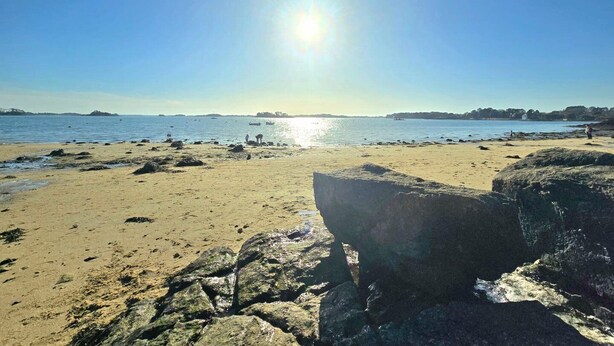 Een strand met heldere luchten en rustig water.