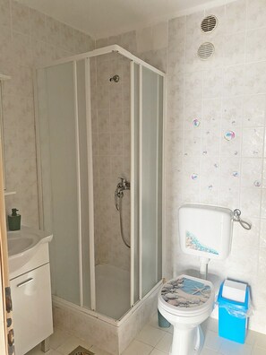 Regadera, secadora de cabello, toallas, papel de baño 