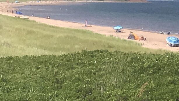 A beach with umbrellas and people, a lighthouse, and a forested area in the background.
