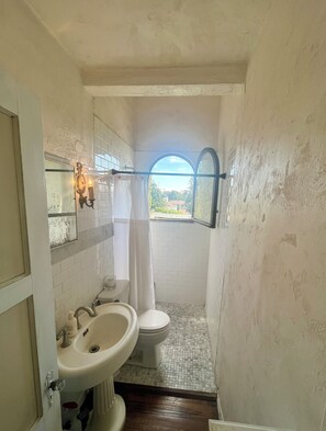Toallas y papel de baño 