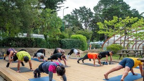Eine Gruppe von Menschen praktiziert Yoga auf Yogamatten in einem Park.