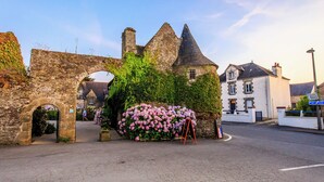 Un arco de piedra que conduce a un edificio con muros cubiertos de hiedra y un gran arreglo floral.