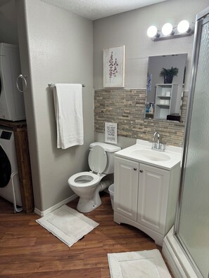 Hair dryer, towels, soap, toilet paper