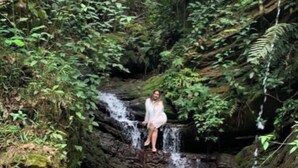 Iemand zit op een rots bij een waterval in een bebost gebied.