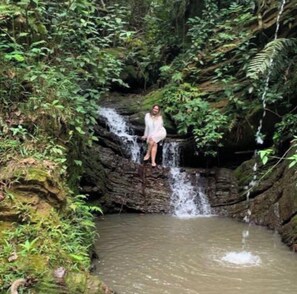 Imagen sin descripción, 4 de 5, botón