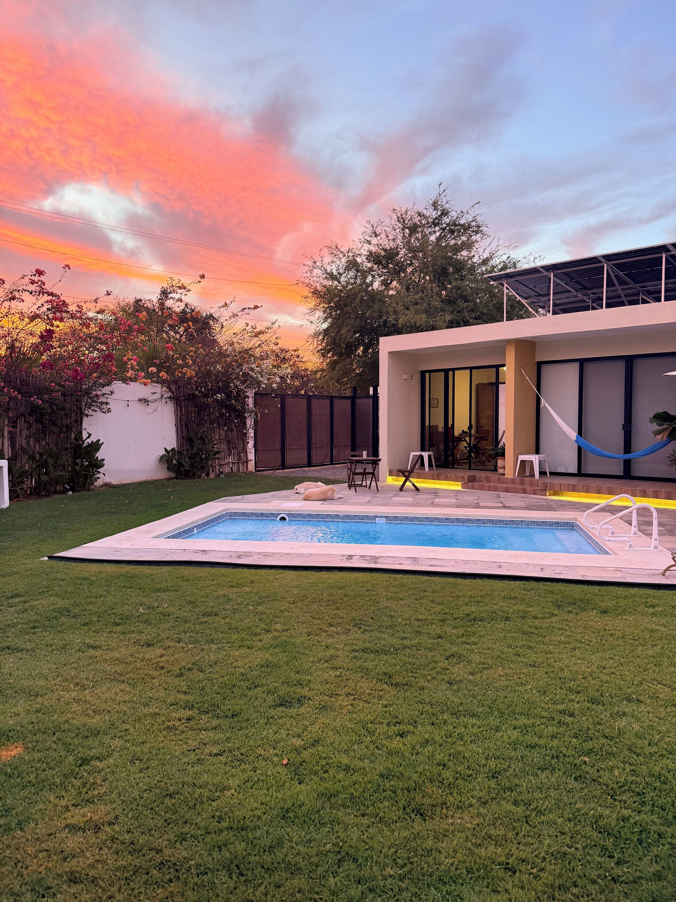 A modern house with a swimming pool, a hammock, and a patio area.