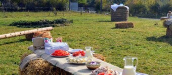 Chalet Farmhouse Rosehip Flower Romania Brasov