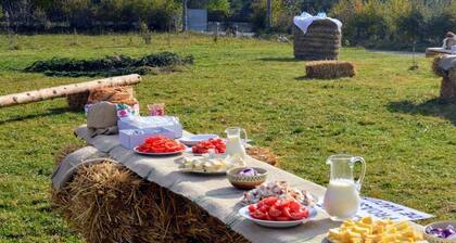 Chalet Farmhouse Rosehip Flower Romania Brasov