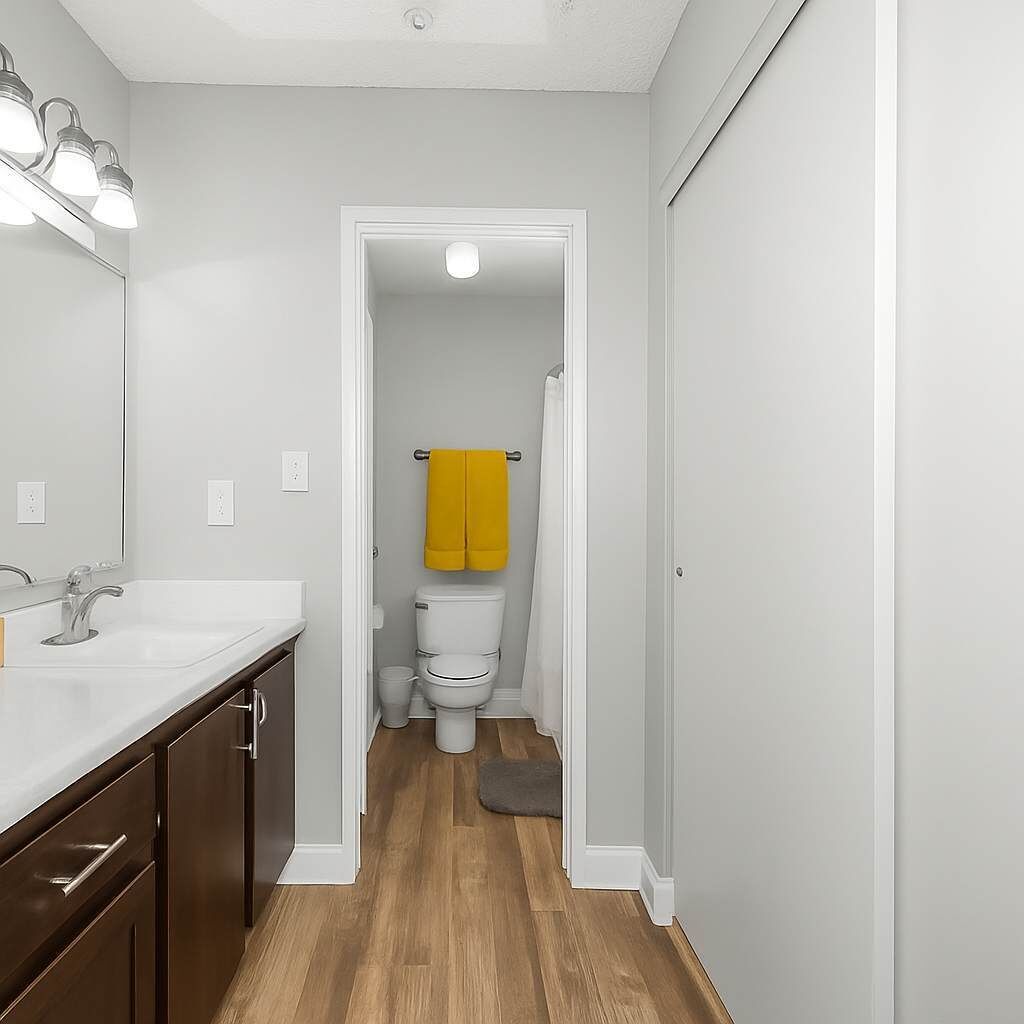 Regadera, secadora de cabello, shampoo 