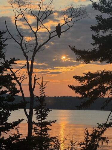 Amore | Romantic Coastal Cottage Near Spruce Point