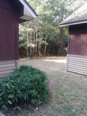 A fenced yard with a wooden building, dense trees, and a well-maintained bush.