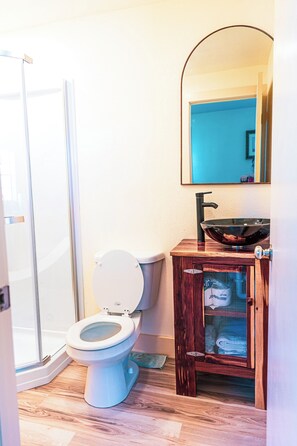 Chuveiro, secador de cabelo, toalhas de banho, papel higiênico