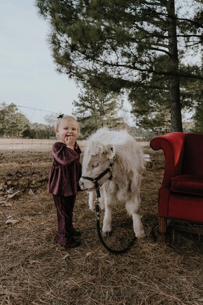 Immagine non classificata, 4 di 12, pulsante