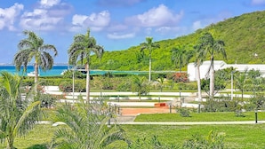 Ein angelegter Garten mit Palmen, einem Weg und Blick auf den Ozean.