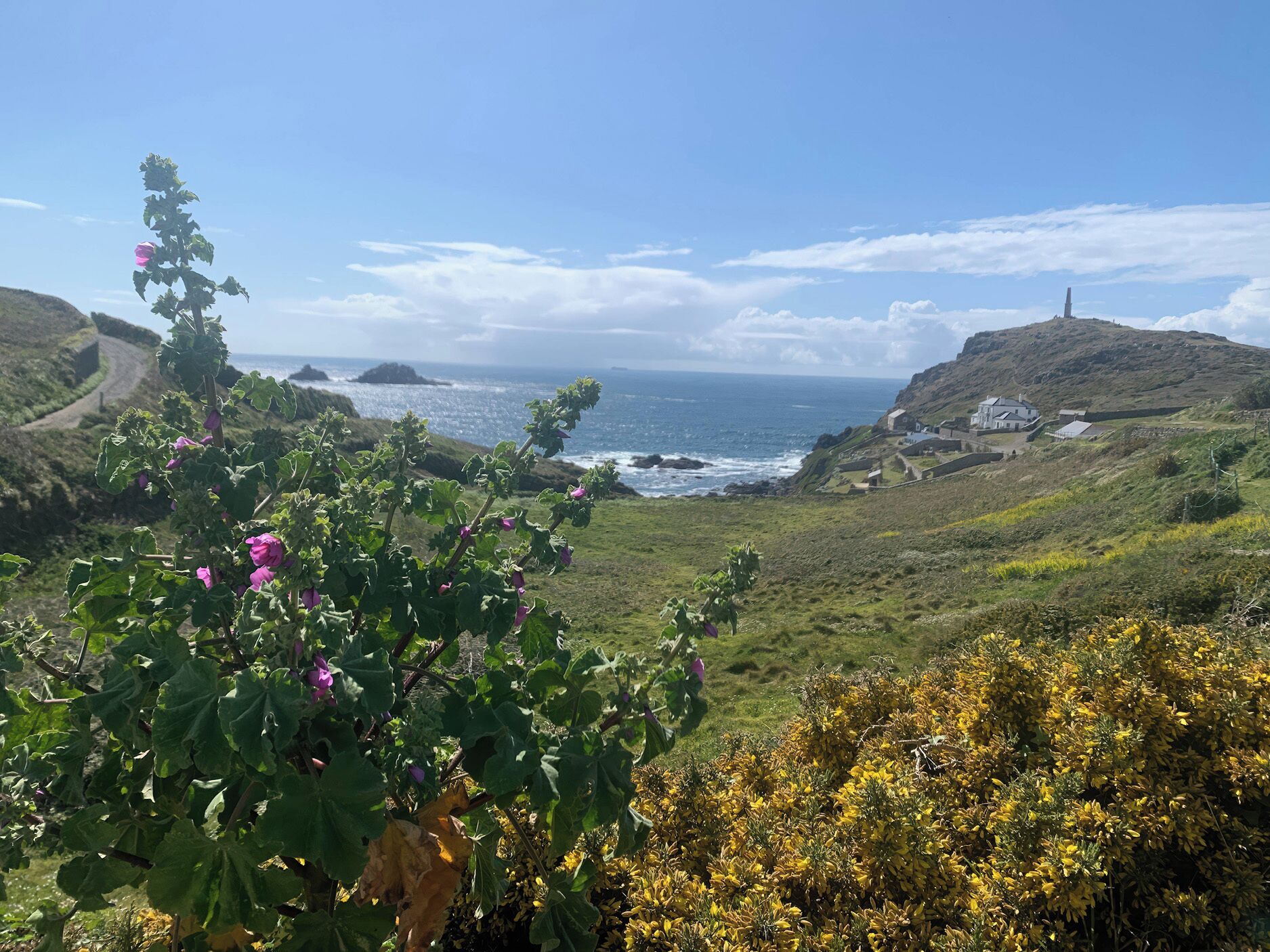 Un paysage côtier caractérisé par une colline imposante, un phare et un bâtiment doté d’un mur en pierre.