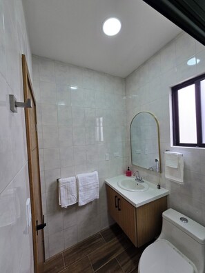 Hair dryer, towels, soap, toilet paper