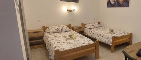 スタジオ (Studio Apartment with Terrace)