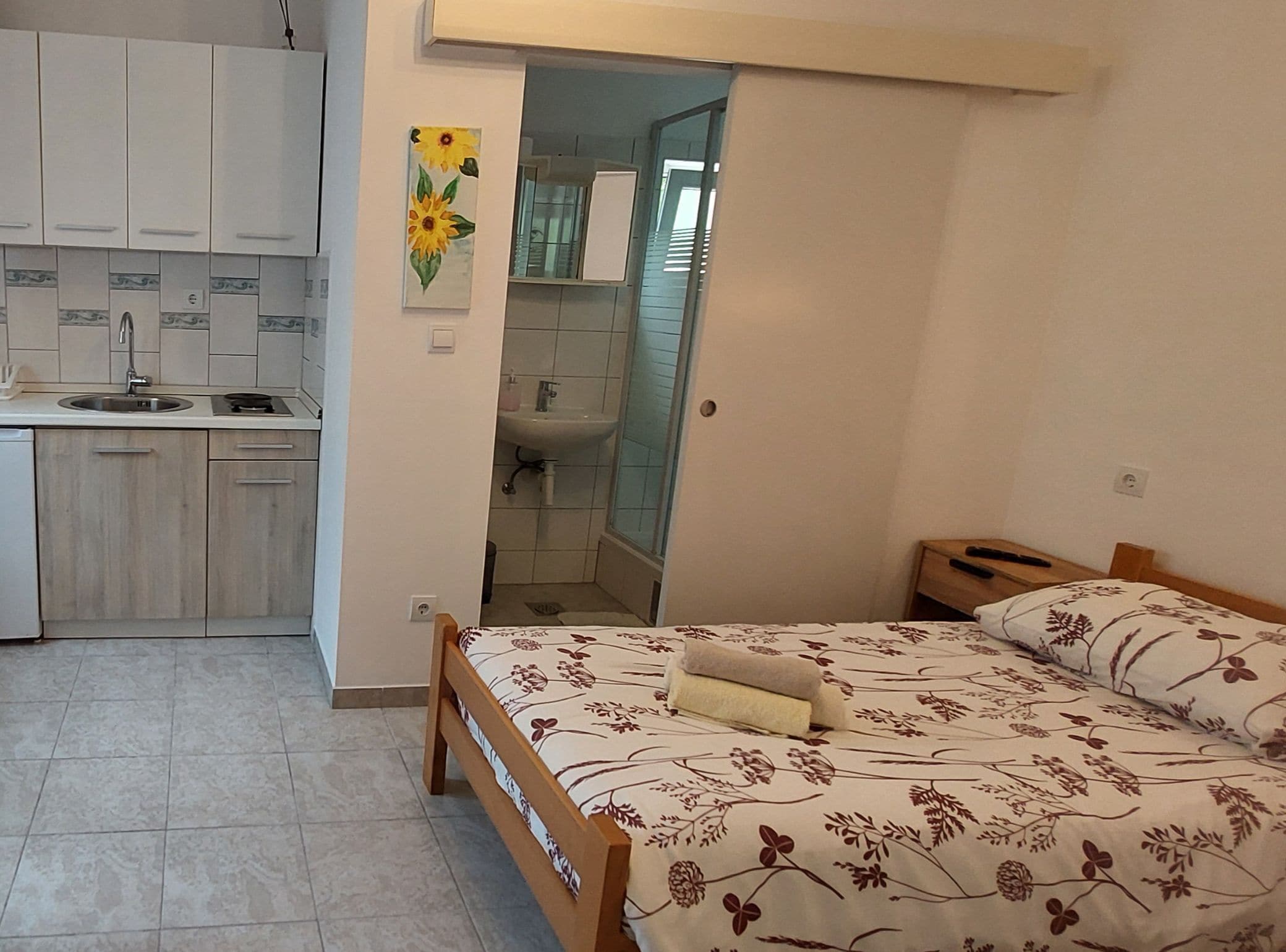 Studio (Studio Apartment with Terrace)