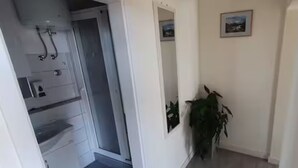 Un pasillo con una puerta que da a un baño, una planta en maceta y un cuadro en la pared.