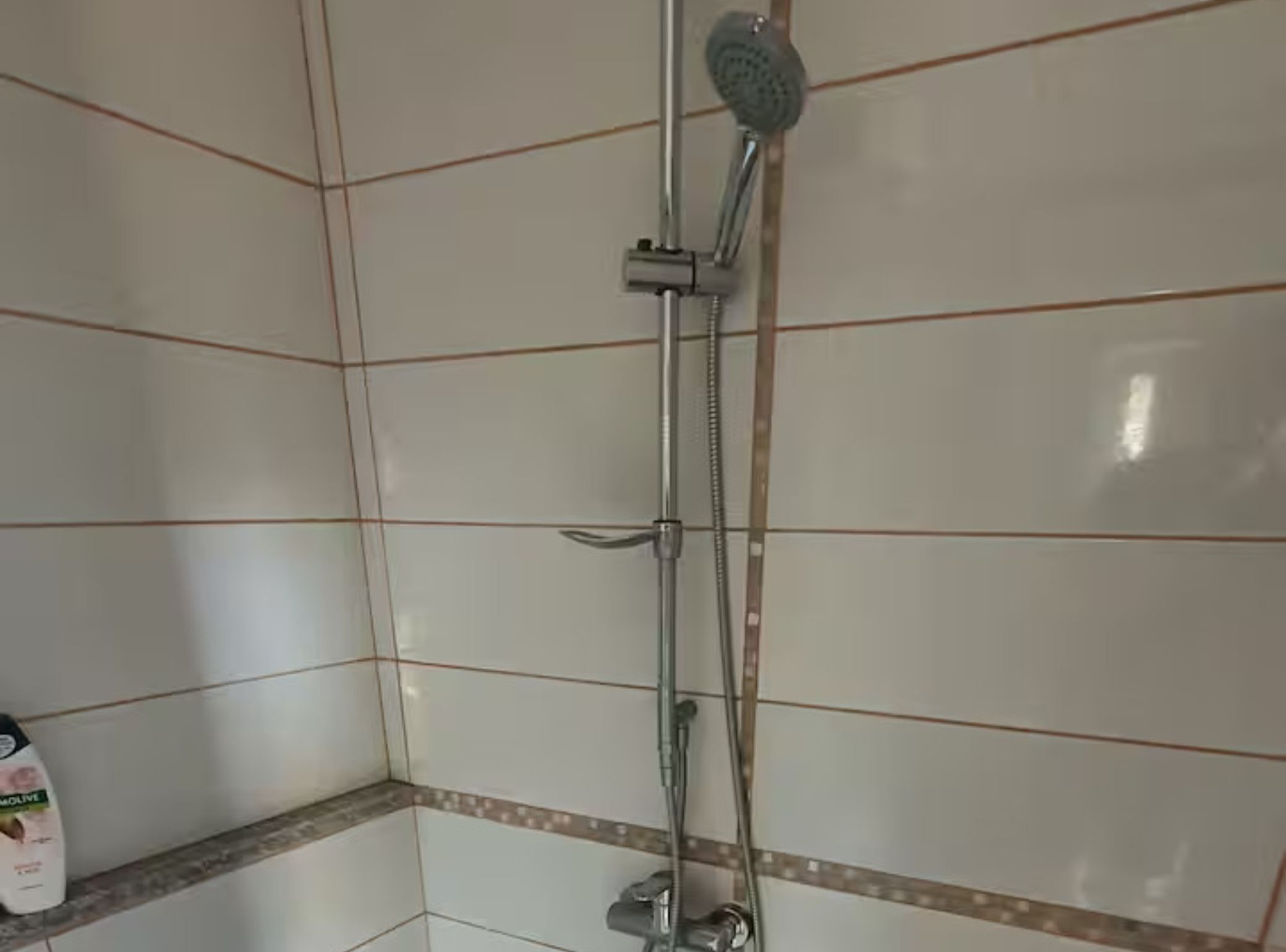 شقة (One bedroom apartment) | حمام | تجهيزات دش، مناشف