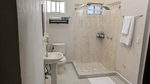 Douche, articles de toilette (gratuits), séchoir à cheveux