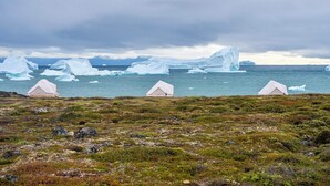 A landscape with three tents and icebergs in the background. - Nomad Greenland (Saqqaq)