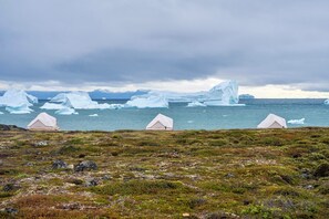 Miscellaneous - Nomad Greenland (Saqqaq)