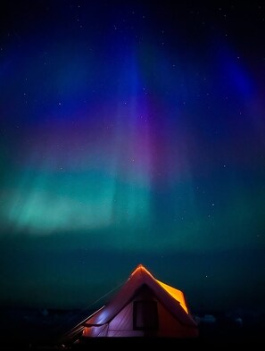 Immagine non classificata, 2 di 6, pulsante