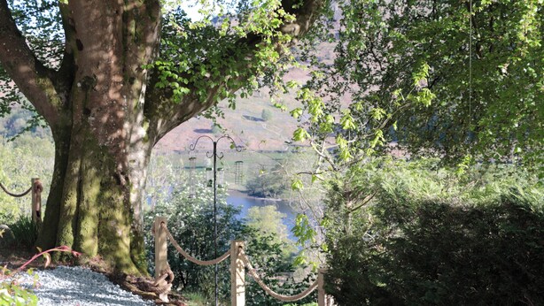A tree with a rope barrier, a clear view of a river, and a distant mountain range. - Brockstone (Ambleside)