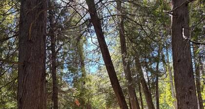 Chalet Nørdva – Lakefront Spa & Sauna