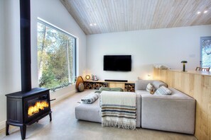 スマートテレビ、暖炉、書庫