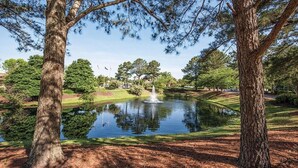 Ein friedlicher Park mit Teich, Bäumen und einem Springbrunnen.