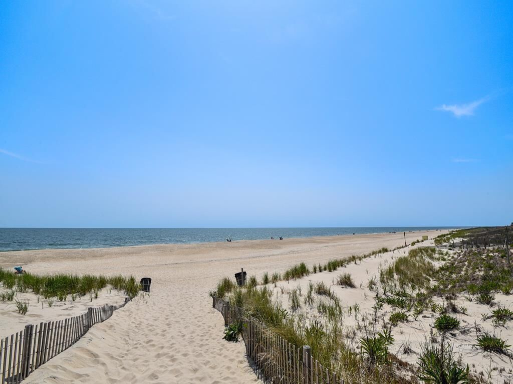 Playa en los alrededores 