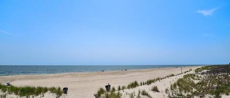 Playa en los alrededores