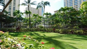 A well-maintained garden with lush green grass and various tropical plants, including palm trees, in front of a multi-story building. - Asian inspired decor in this beautiful studio (Honolulu)
