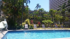 A swimming pool with lounge chairs and palm trees. - Asian inspired decor in this beautiful studio (Honolulu)
