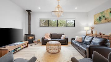 TV, fireplace, books