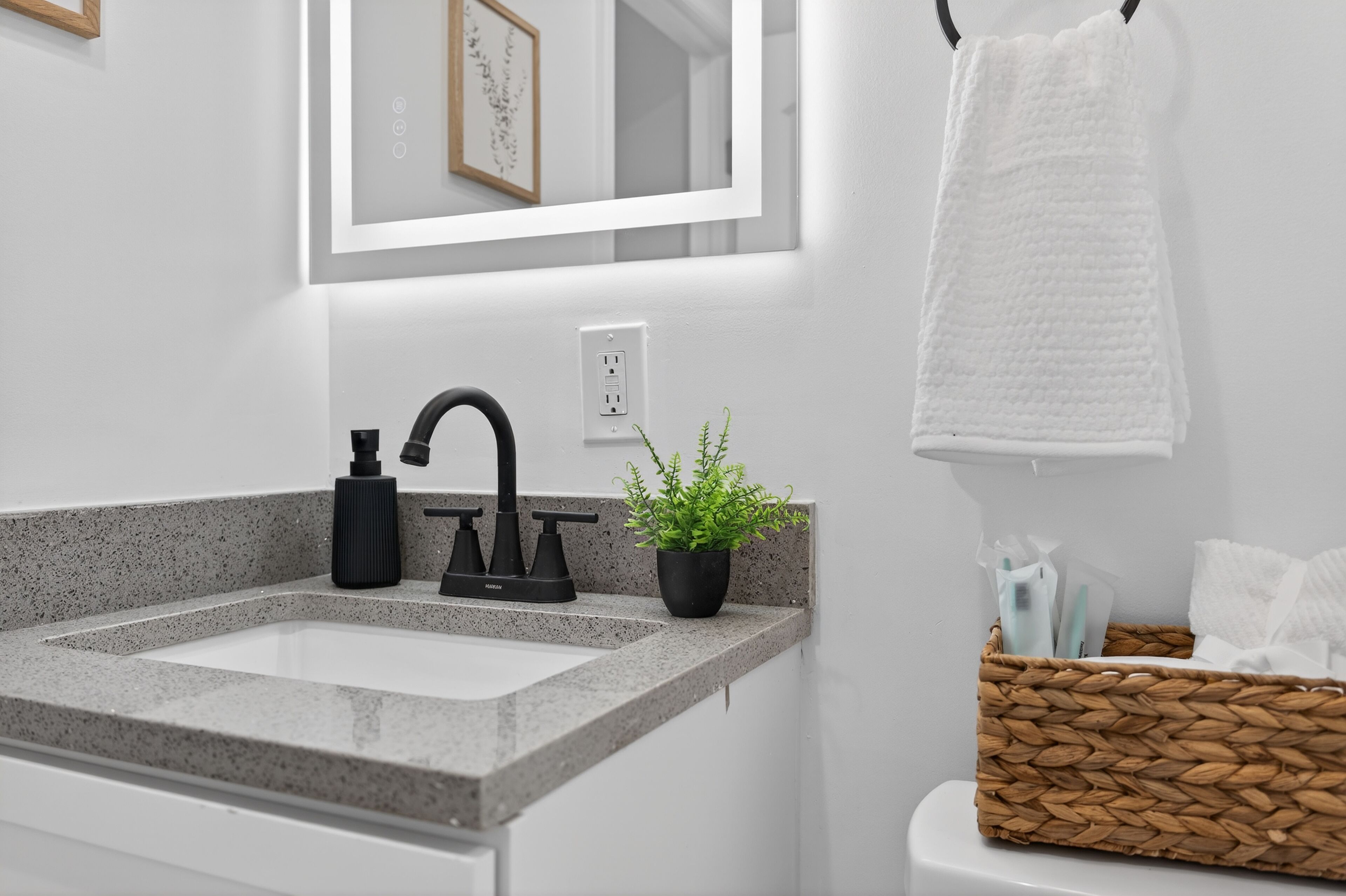 Une salle de bain avec un lavabo en granit, un robinet noir et une plante en pot.