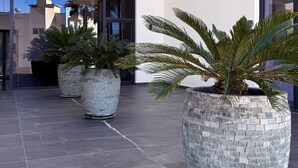 Een modern gebouw met grote ramen en airconditioninginstallaties. Er staan potplanten op de voorgrond.