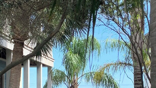 A wooden boardwalk leading to a building with a white fence and palm trees. - BEACH THERAPY: Lovely Spacious and Comfortable Coastal Family Retreat (Rockport)